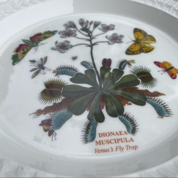 Portmeirion botanic garden salad plate - Picture 8 of 9